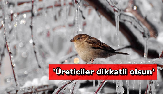 Bakanlıktan Antalya için don uyarısı