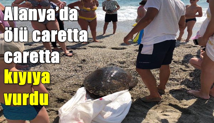 Alanya’da ölü caretta caretta kıyıya vurdu