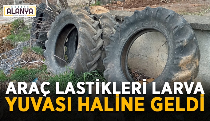 Gazipaşa'da araç lastikleri larva yuvası haline geldi